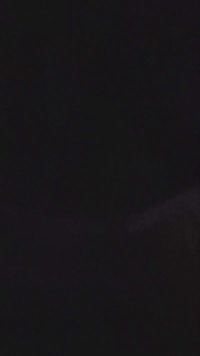 Beardedveteran Live Image