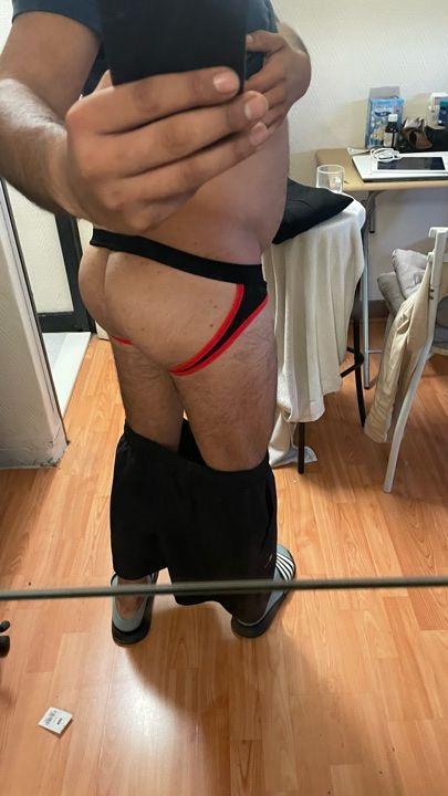 Beargaytr