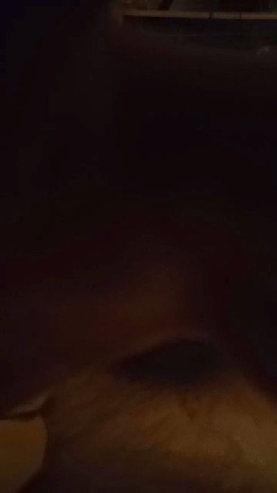 Cammamon55 Live Image