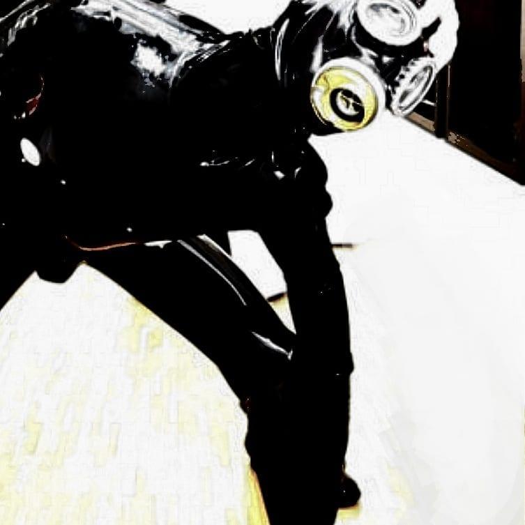 GearPup2305 Live Image