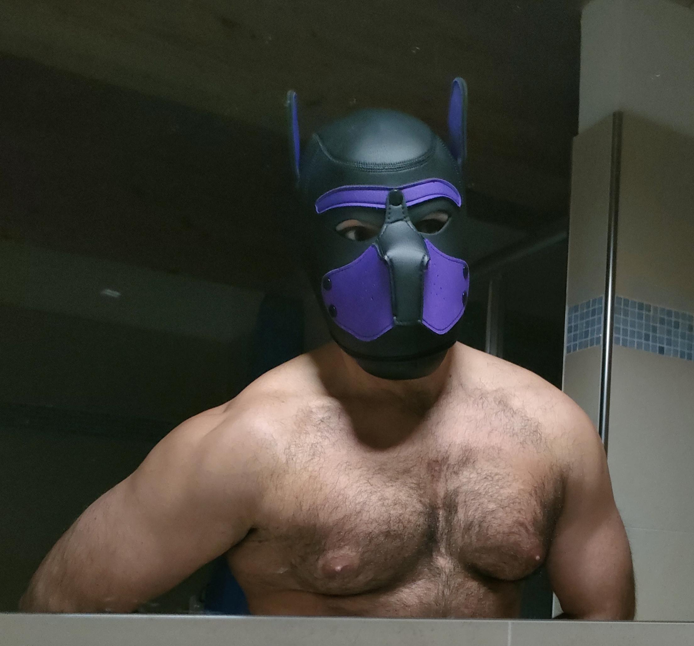 Hairypuppy82 Live Image