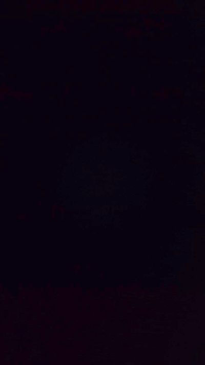 Joshissingle31 Live Image