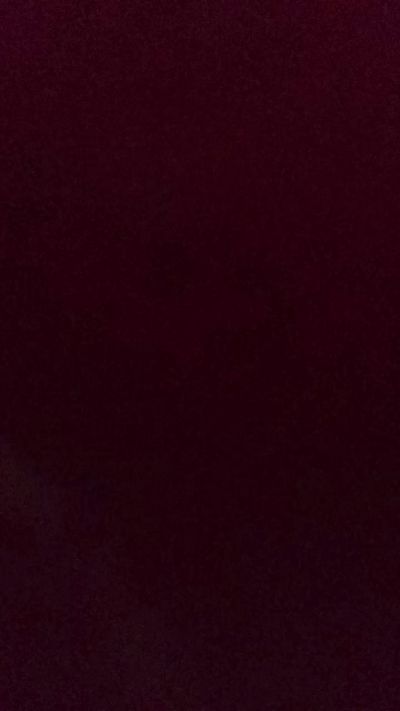 Silkworm_Piper Live Image