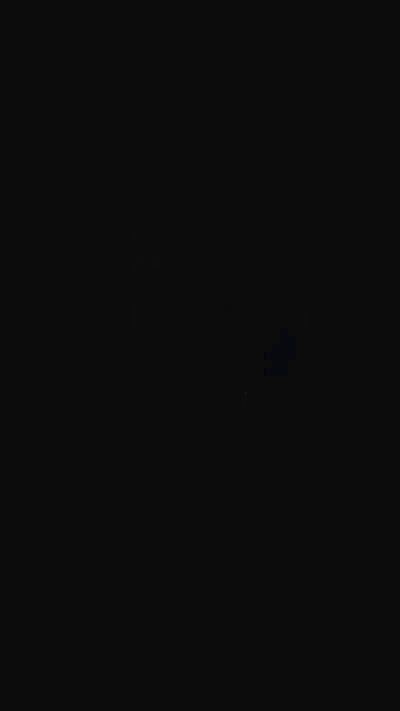 Sognonylon Live Image