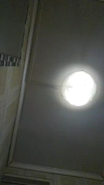 acedm1pt Live Image