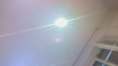 analmoni Live Image