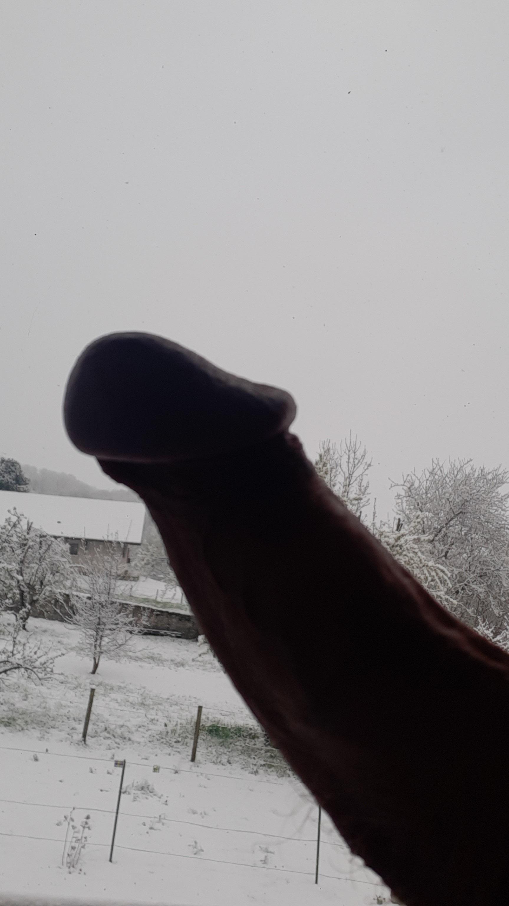 arda78220 Live Image