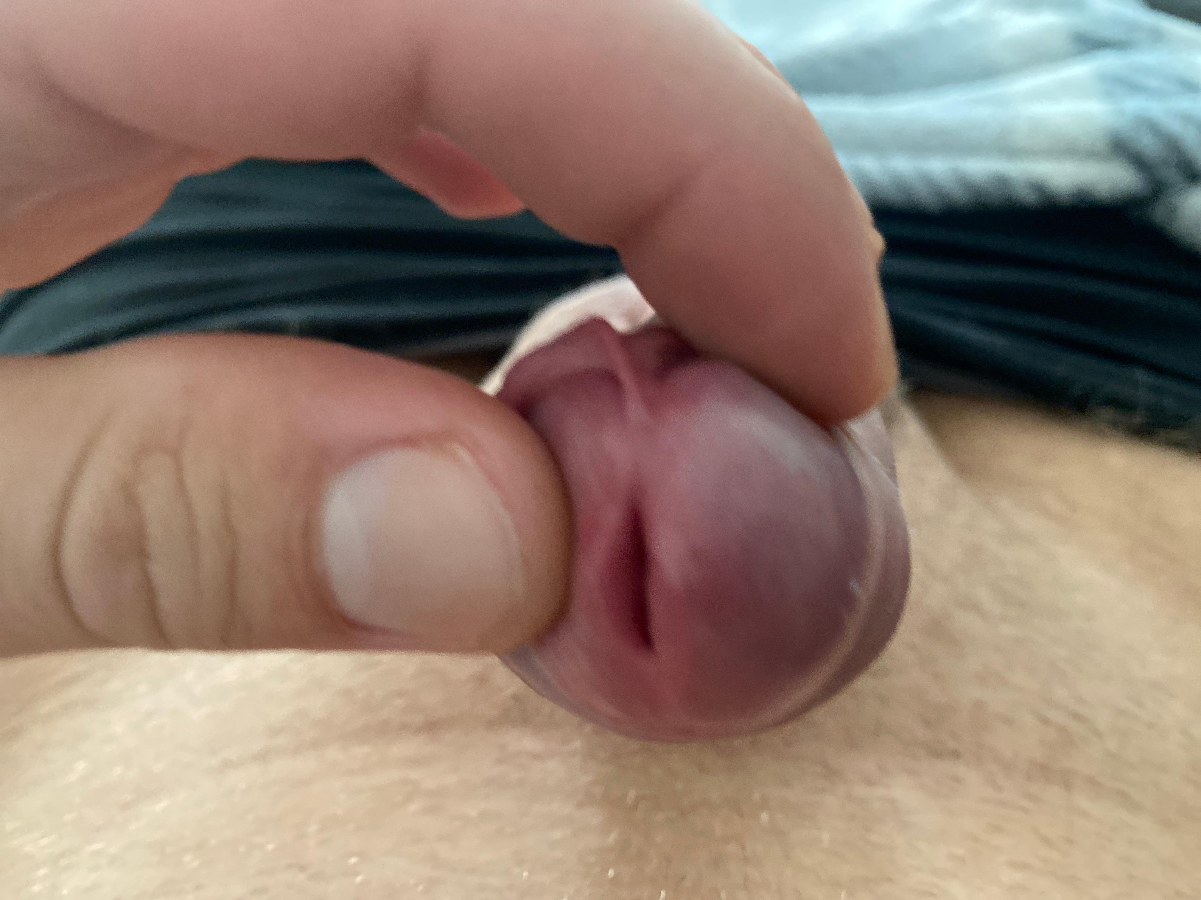 basti69 Live Image
