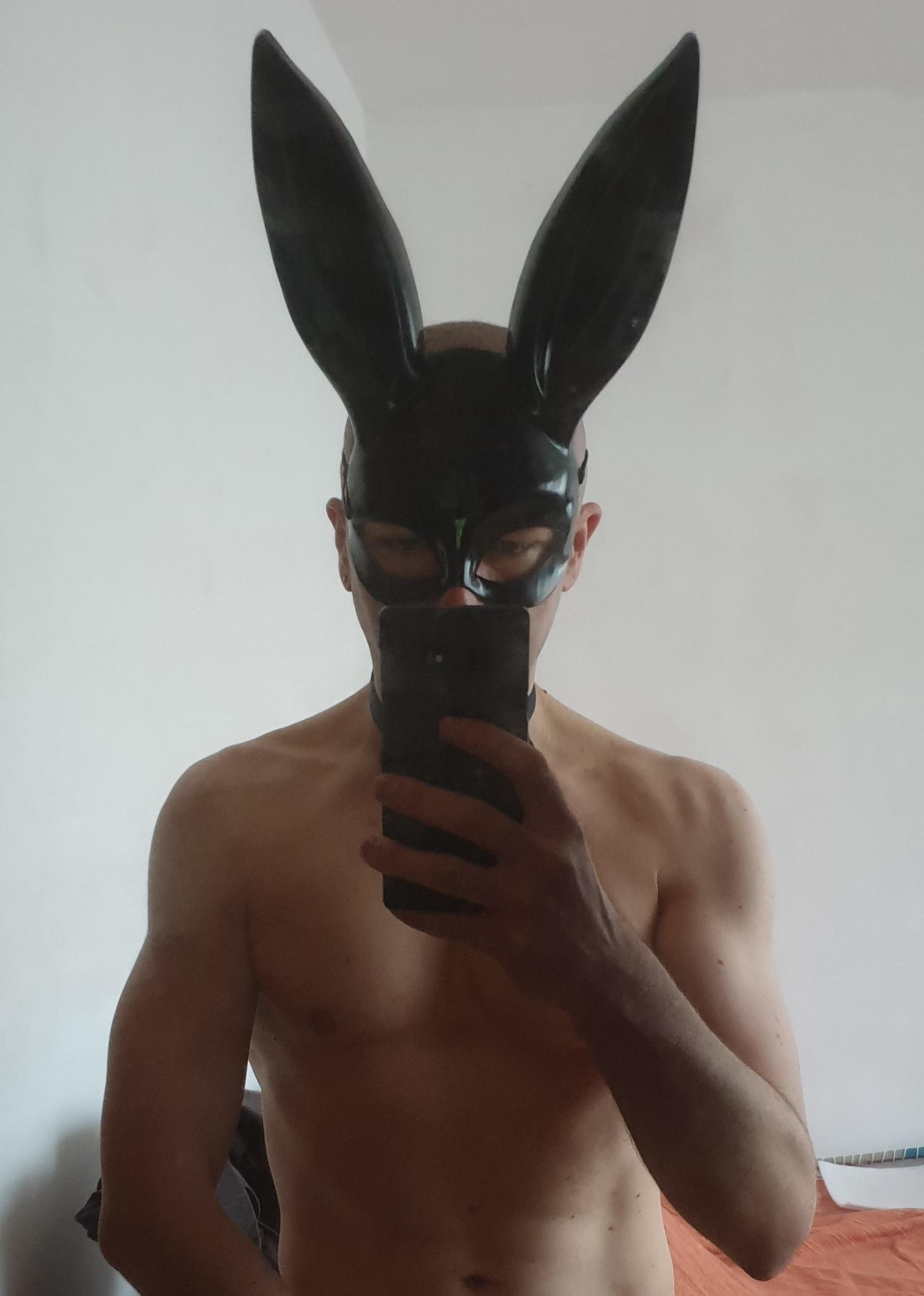 bunny__boy Live Image
