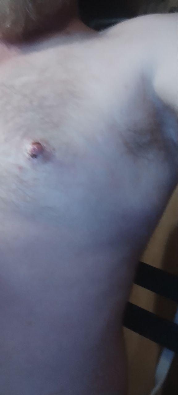 cubbearuk Live Image