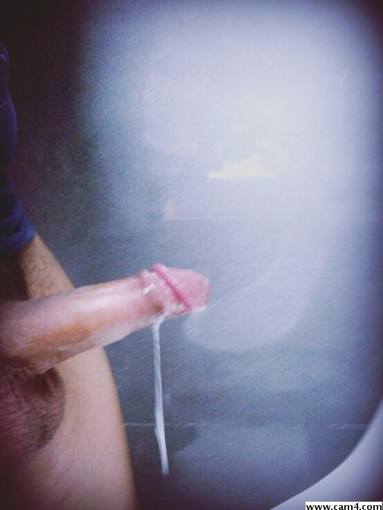 disponibleso Live Image