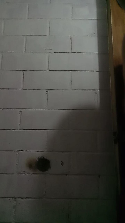 elasfernandohot Live Image