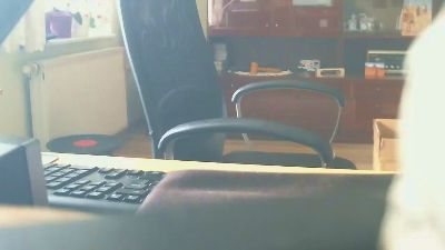 flugwespe2 Live Image