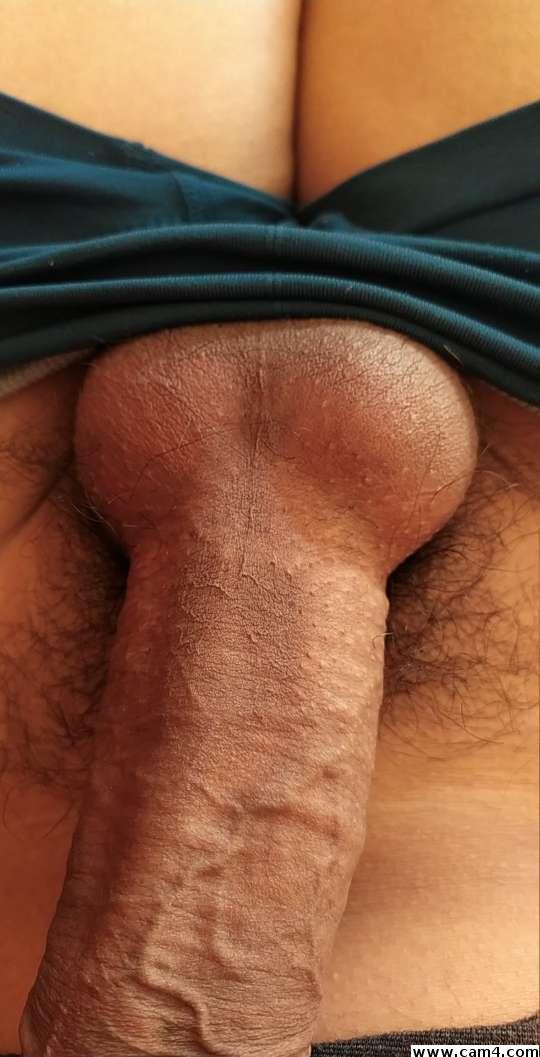 josexse