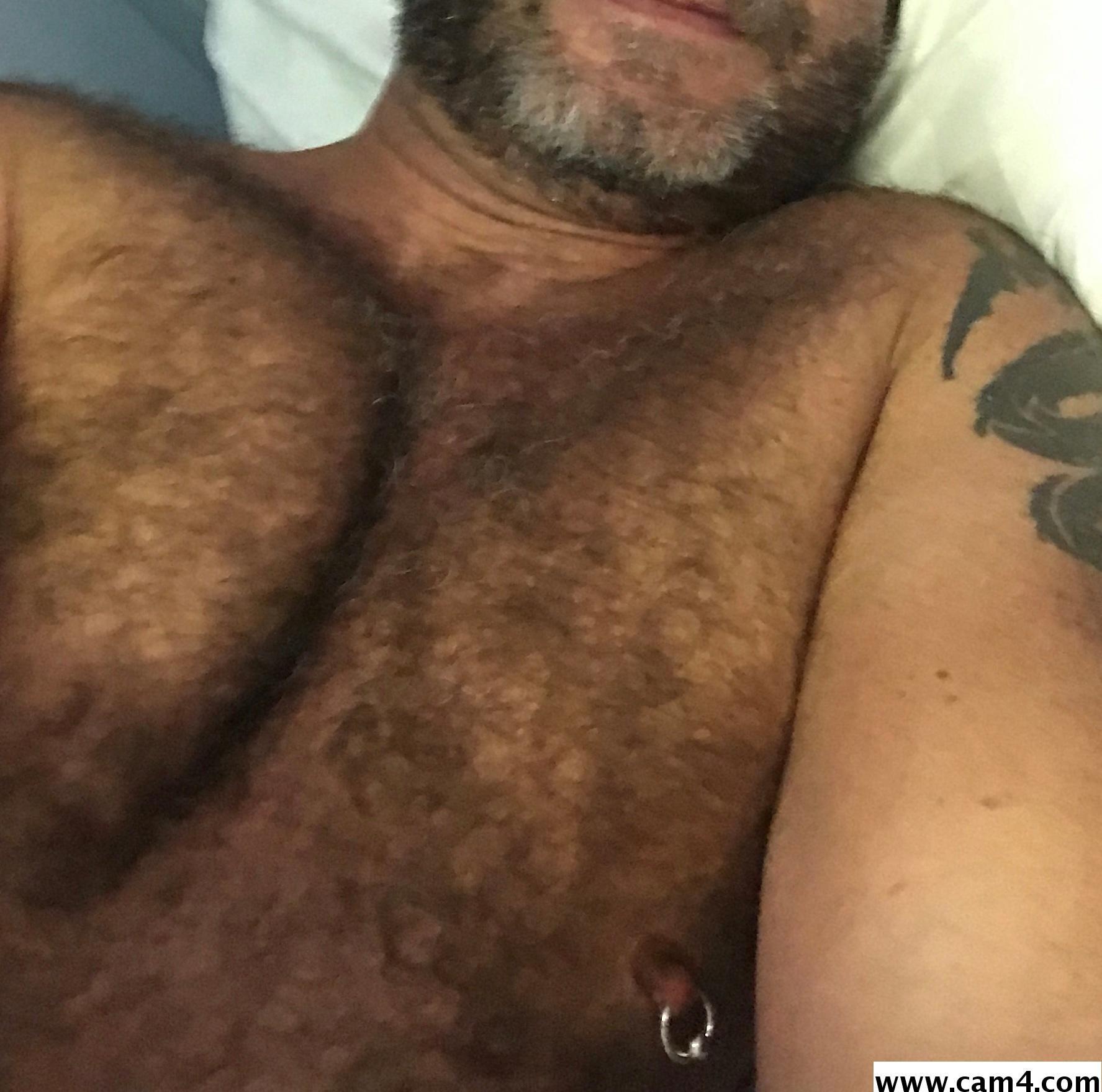 ptibear1