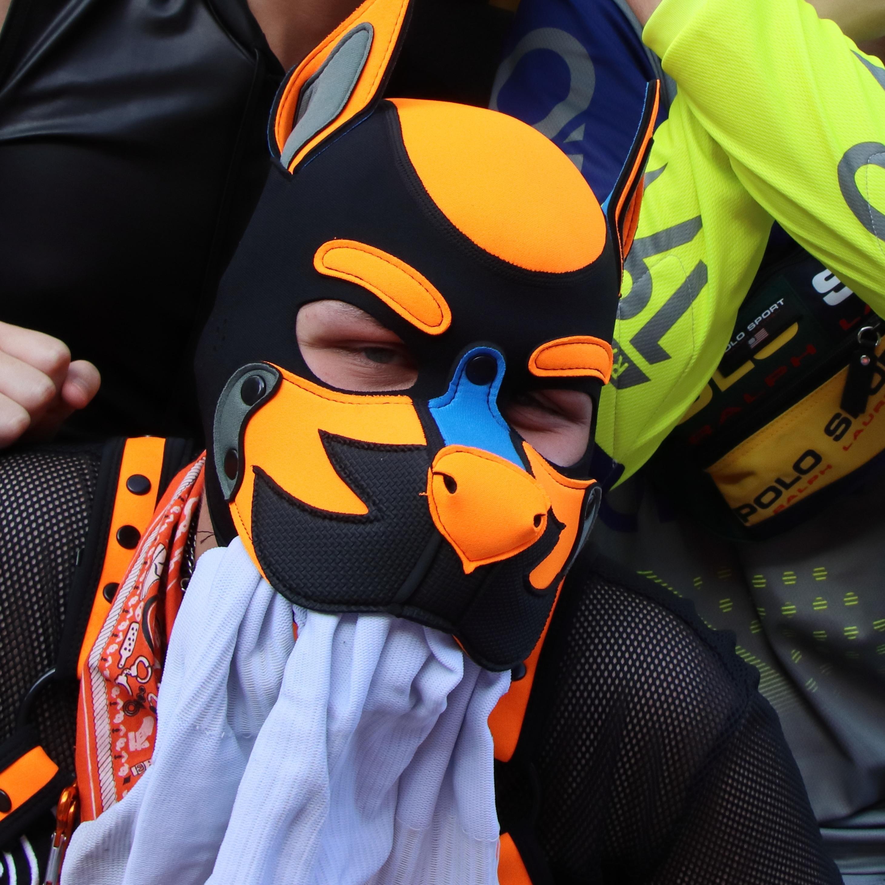 pup_Quentin