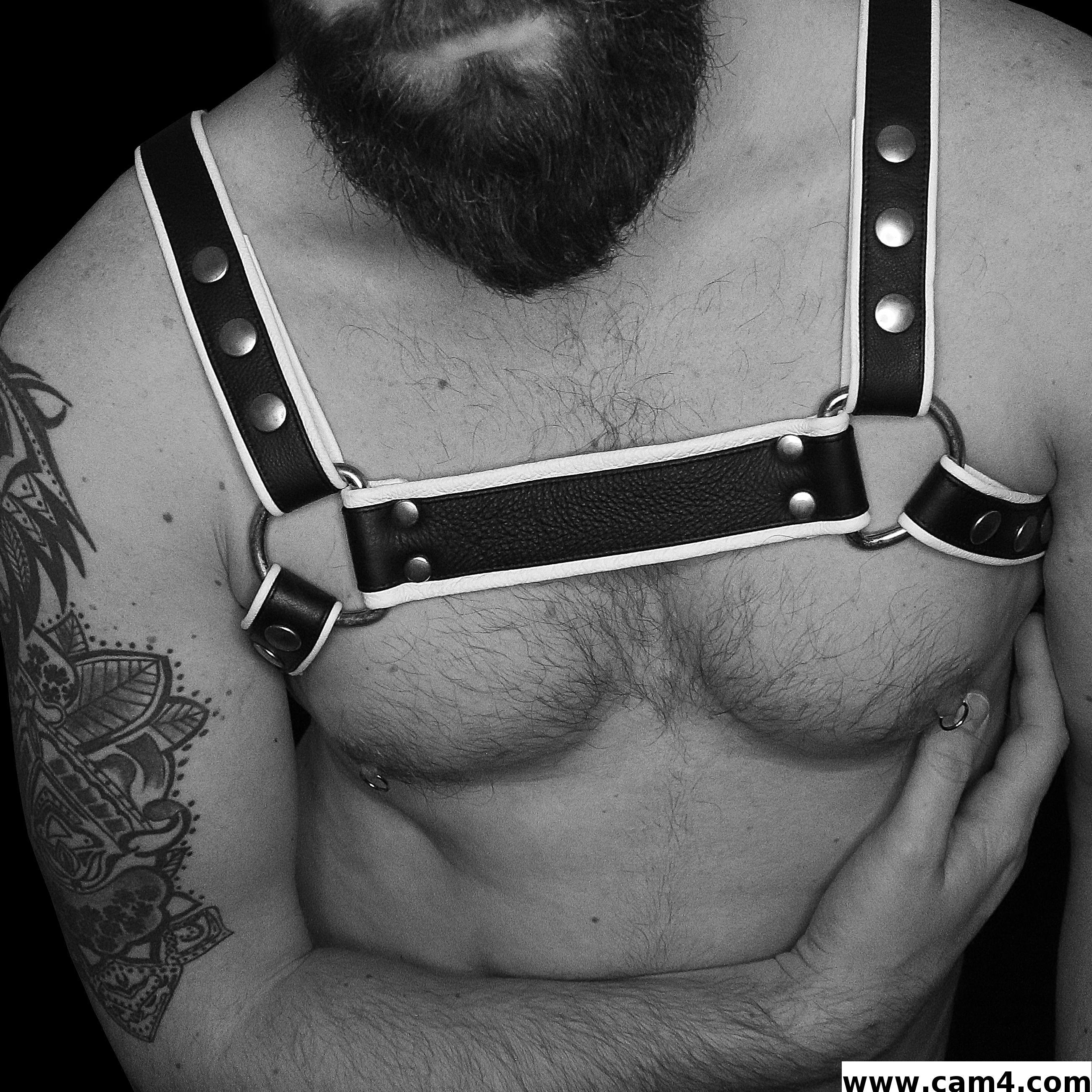 redbearded Live Image