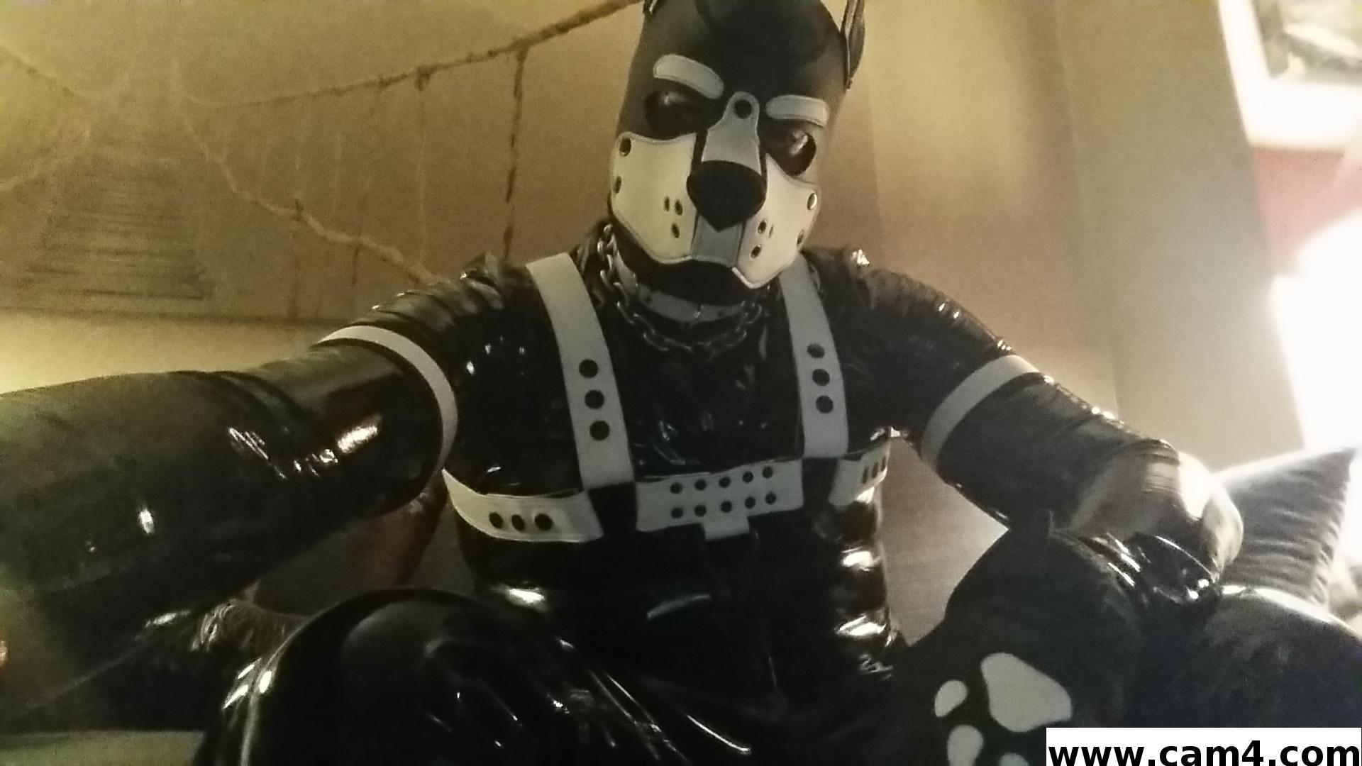 rubberfly Live Image