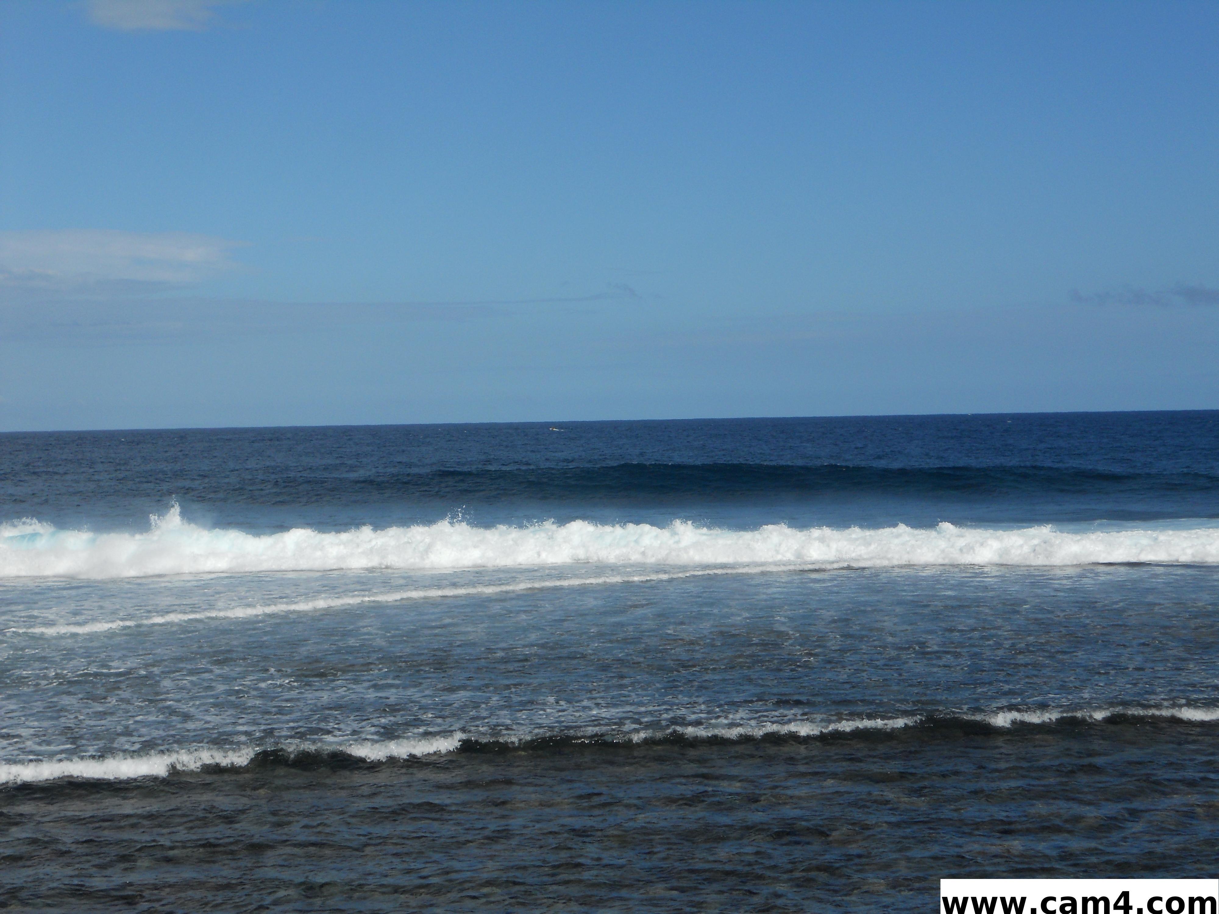 sengruzon Live Image