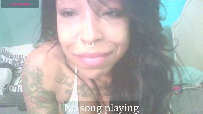 stella_clitella Live Image