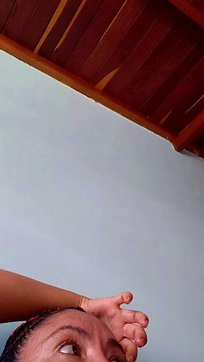 vulma4 Live Image