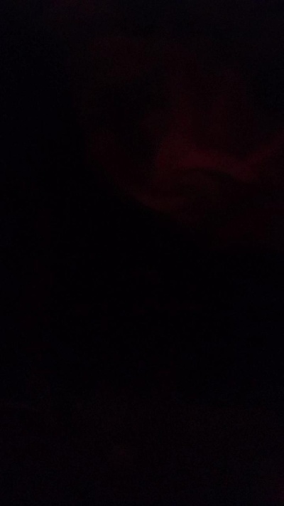 Allursbby live from United States