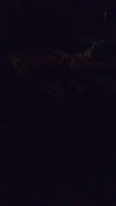 Boniket live from Spain