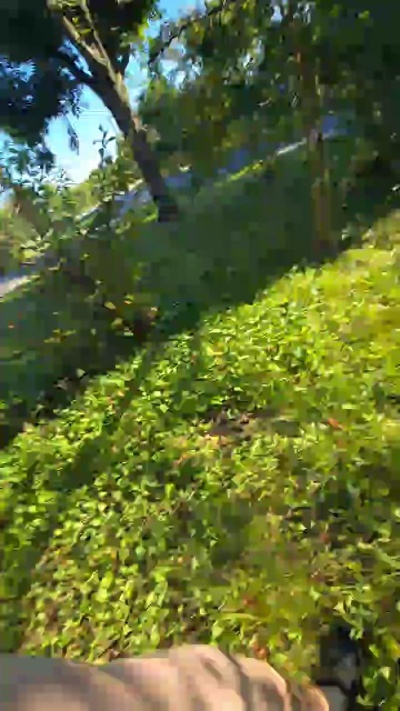 Kleindude live from United States