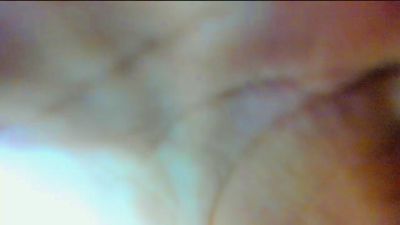 Sophia_Foz live from United States