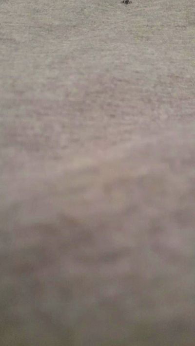 Tomygut_Poringa live from Argentina