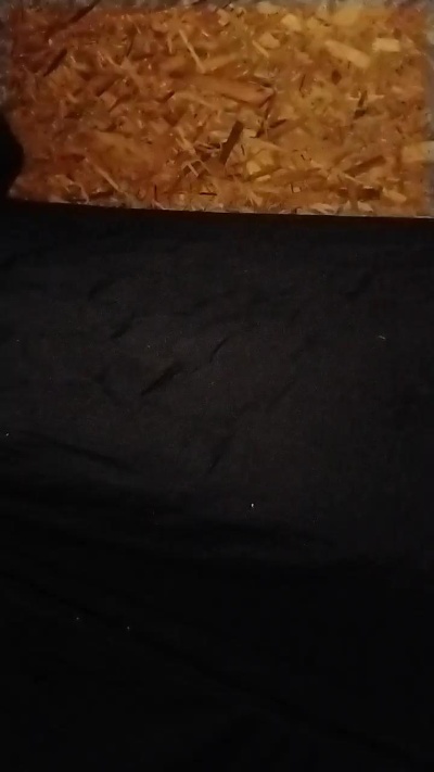 anky_xxx live from Chile