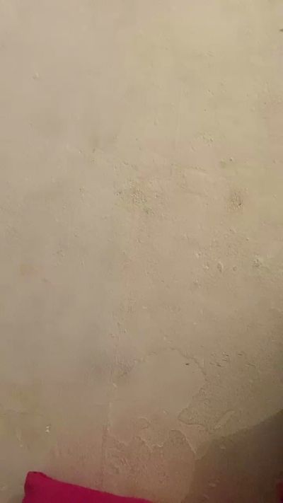 gabriel5243 live from Brazil