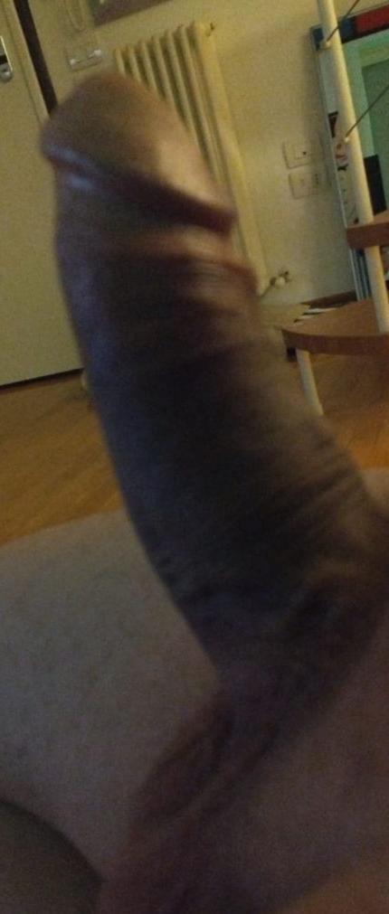 milkpigcum live from Italy